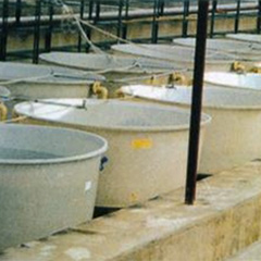 Rotomolding drum aquaculture case